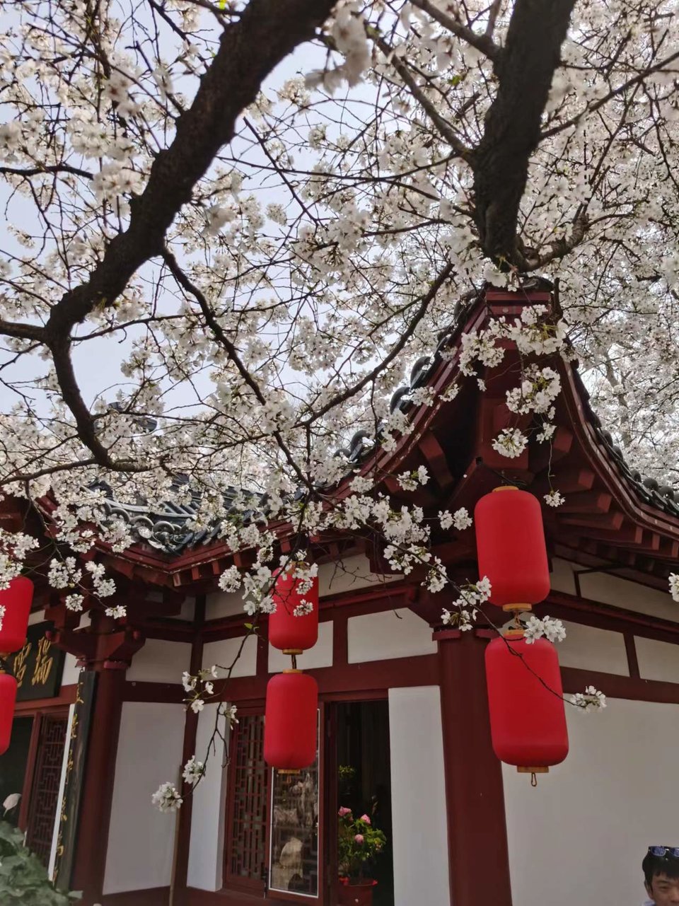 x3CvYLKjG9lvRMDZ773NOMalXpU3ggvDcY1N_upWl-1tFC3aZyCRnMfg4aJJhI8Q