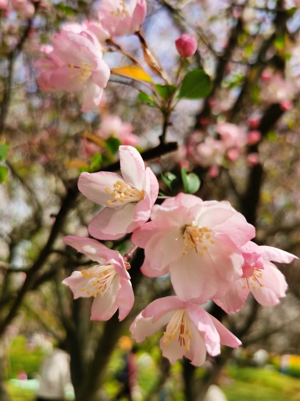 x3CvYLKjG9lvRMDZ773NOA3heHTo8Hz0f9D_9WyeX6FgJX_o5AOO7IyocpL4i7l7