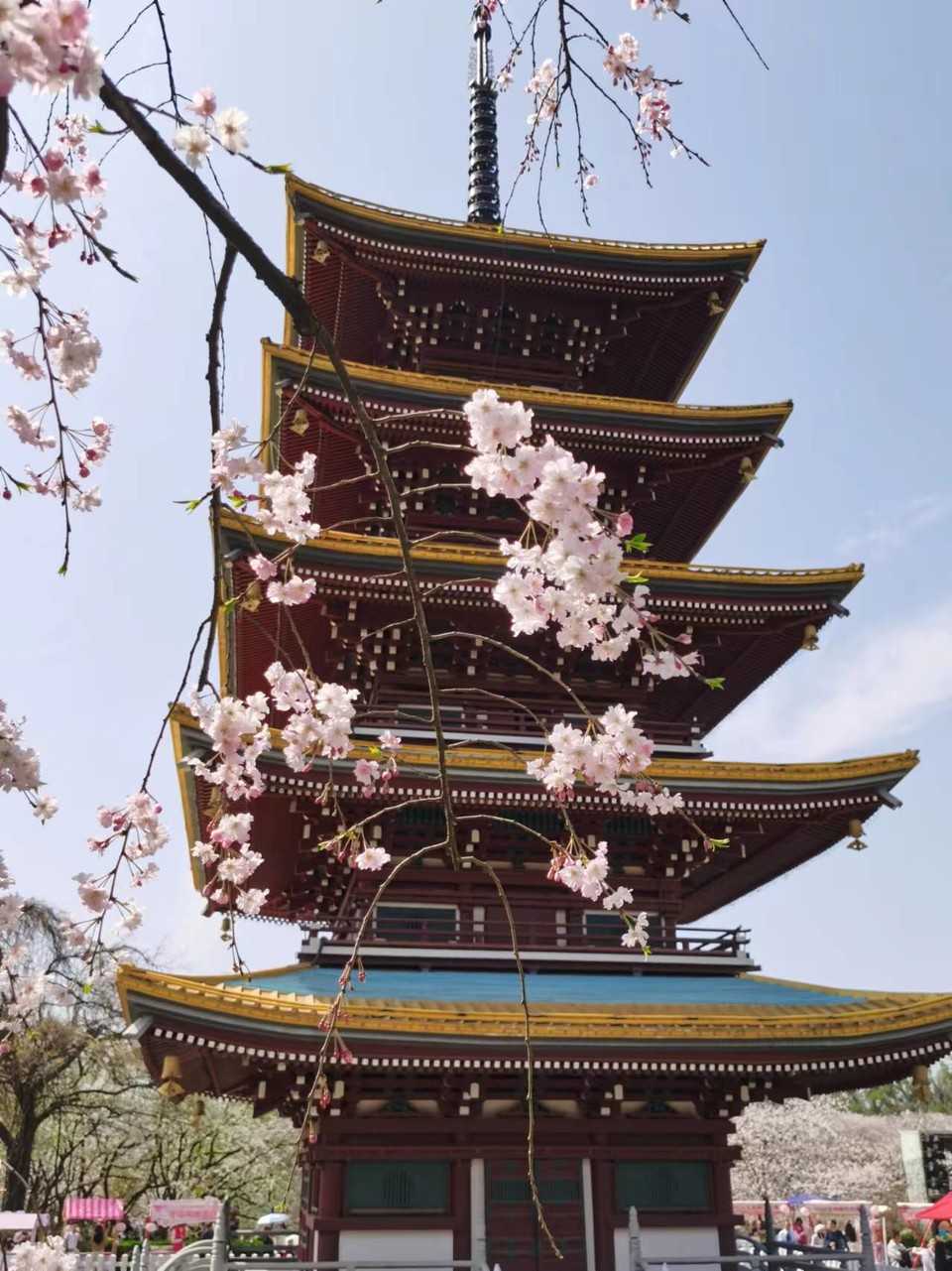 x3CvYLKjG9lvRMDZ773NOFp5et-L1EDAg2TuzmNdRkE2E4hpGKWAM3PpDCDikf8b