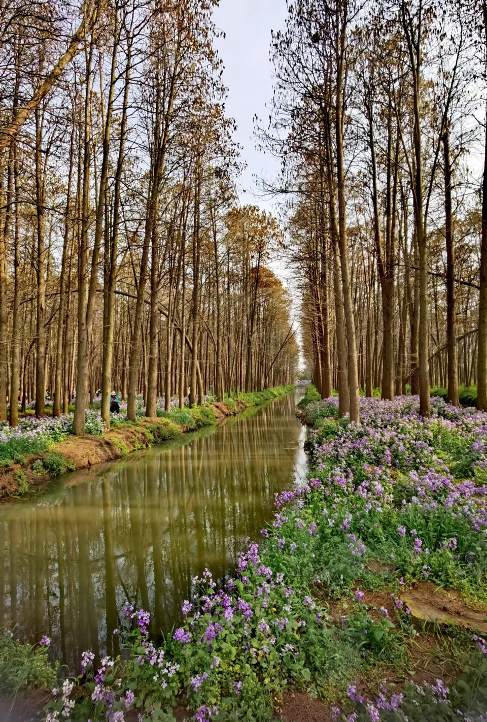 7LYeB26q0ftrPbDUUcU6TQKrfl2CUTy39uQOUB6NgwYaFf5lxy6QubcHgZ7PL83a