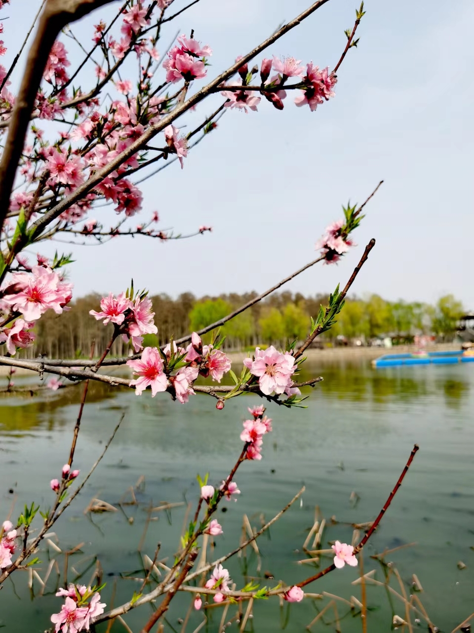 7LYeB26q0ftrPbDUUcU6TbSApZ2CIfUvJeO2BcpF42GVuxfkirKopAFBdzmeXTOS