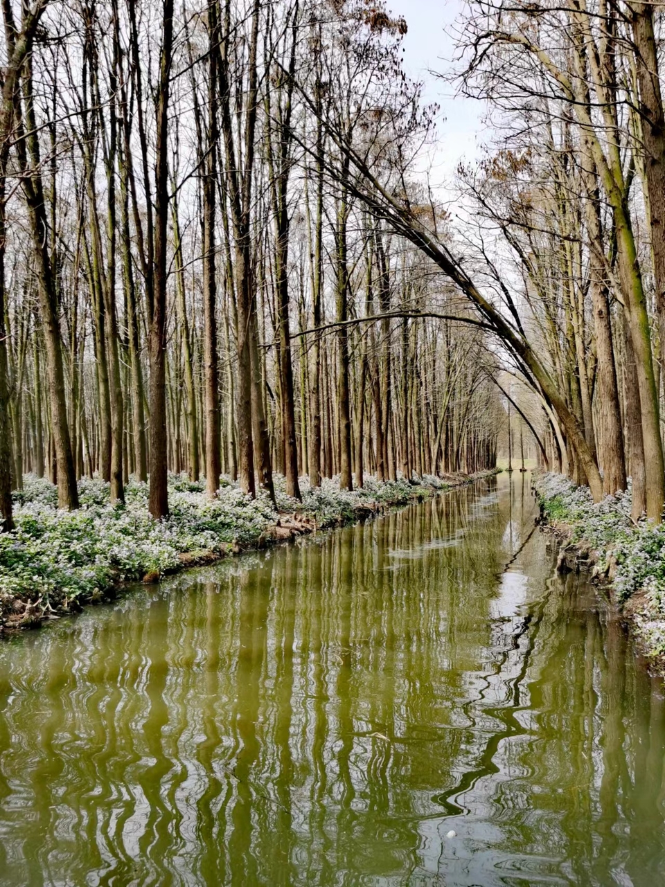 7LYeB26q0ftrPbDUUcU6TboXfxwYCj0XlZRXCMXMnOmQ5MSPudafsJYzKZttDv-T