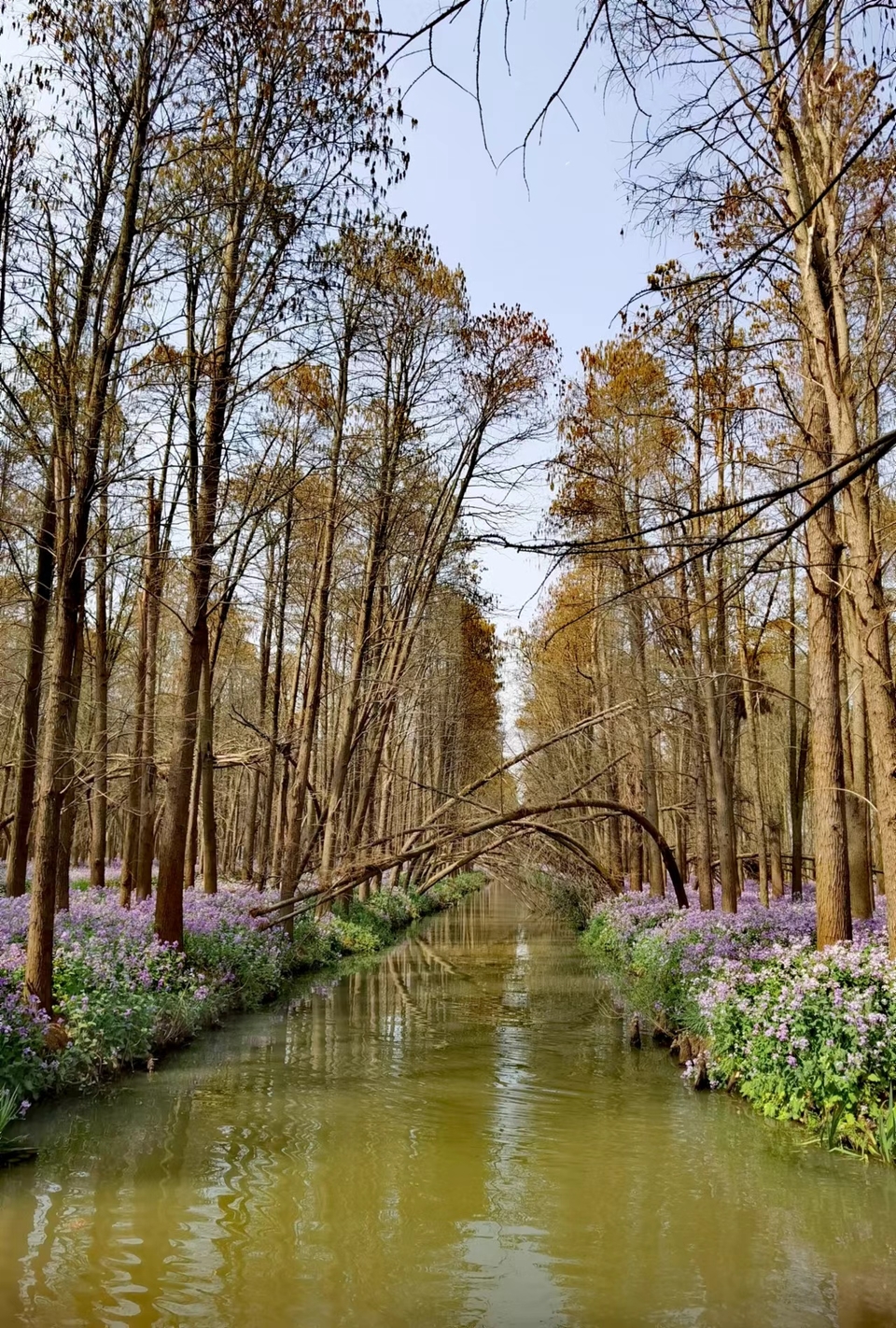 7LYeB26q0ftrPbDUUcU6TSeOpnCHyffIM6OrRXTwKW1U3TjRn5yLE5nmtz3ld8Gm