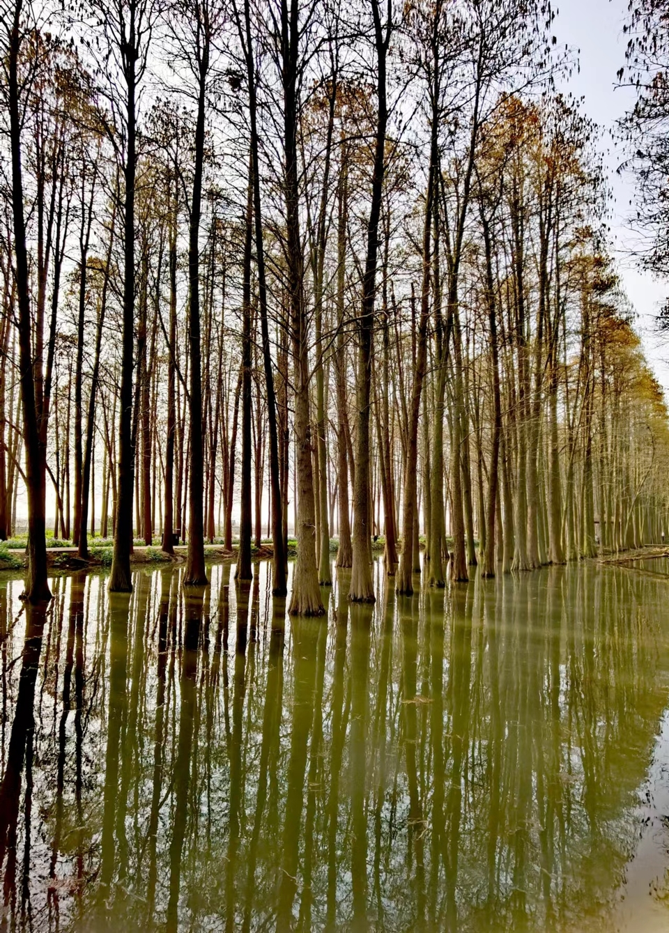 7LYeB26q0ftrPbDUUcU6TVUNEB4bgyFtaoXEx0GcRGtNygd2-diqlWeCwcsuOZSw