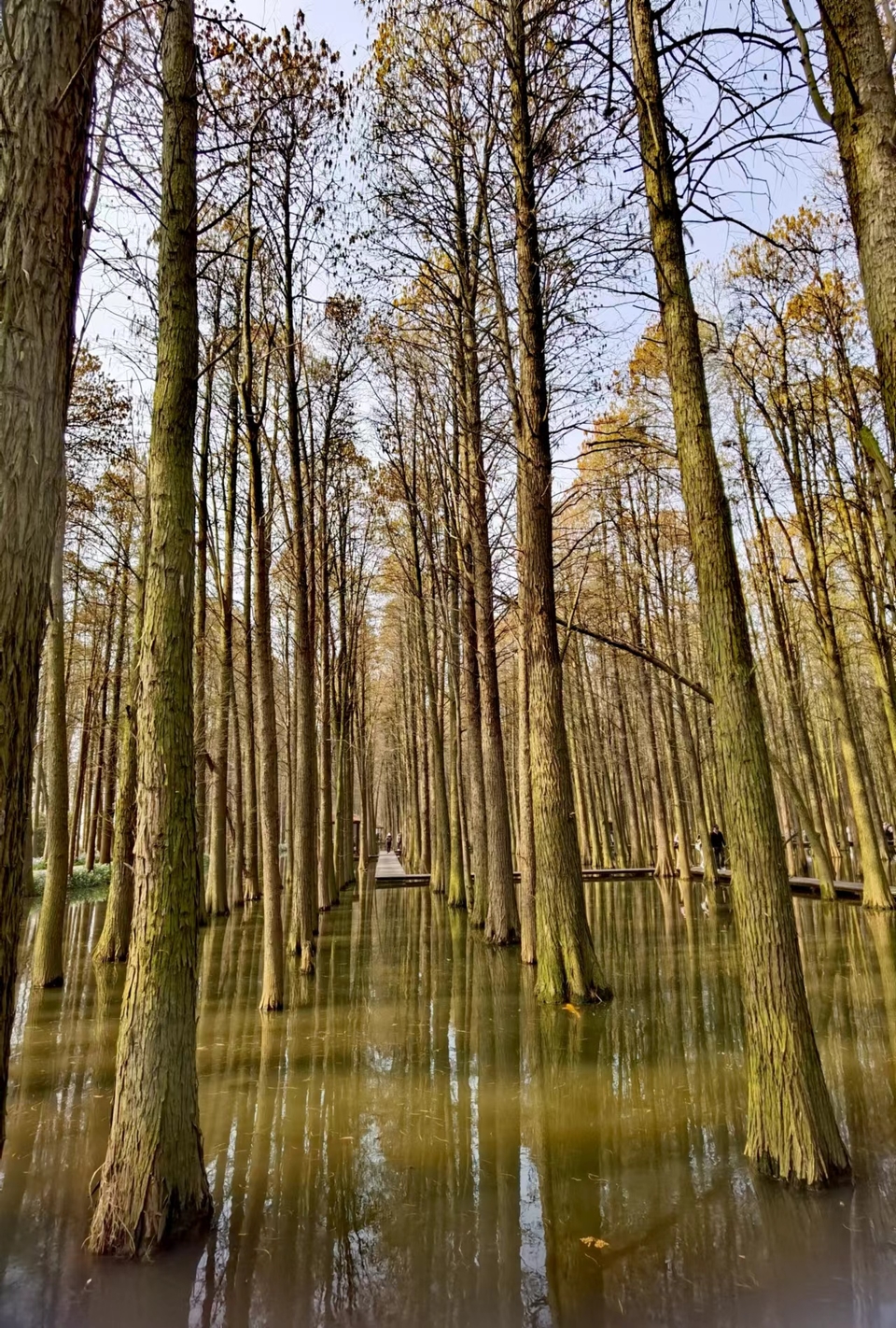 f26ZQ5SbBrDoR8-5j4Onrojck7PBIjwjH31AXfzBR9GLQBnnL8N-VHi5_P9IqJ_v