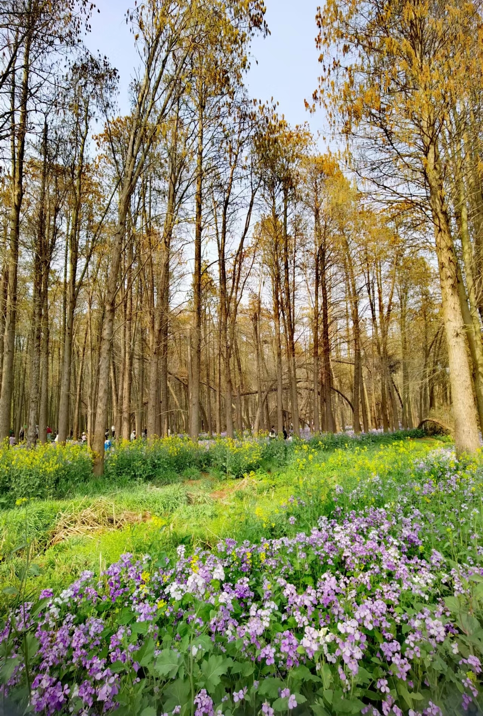 f26ZQ5SbBrDoR8-5j4Onrn39JseUpFCrg-jLiF507pLeocTKlmZ1wPQqQiINFJb-