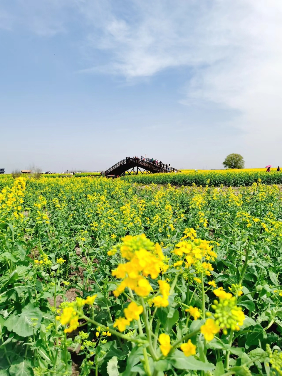 f26ZQ5SbBrDoR8-5j4Onru3aWUPjgtZYqN-xZUw_EiBQ-48XJ5EcSmxnCnYVmuTN