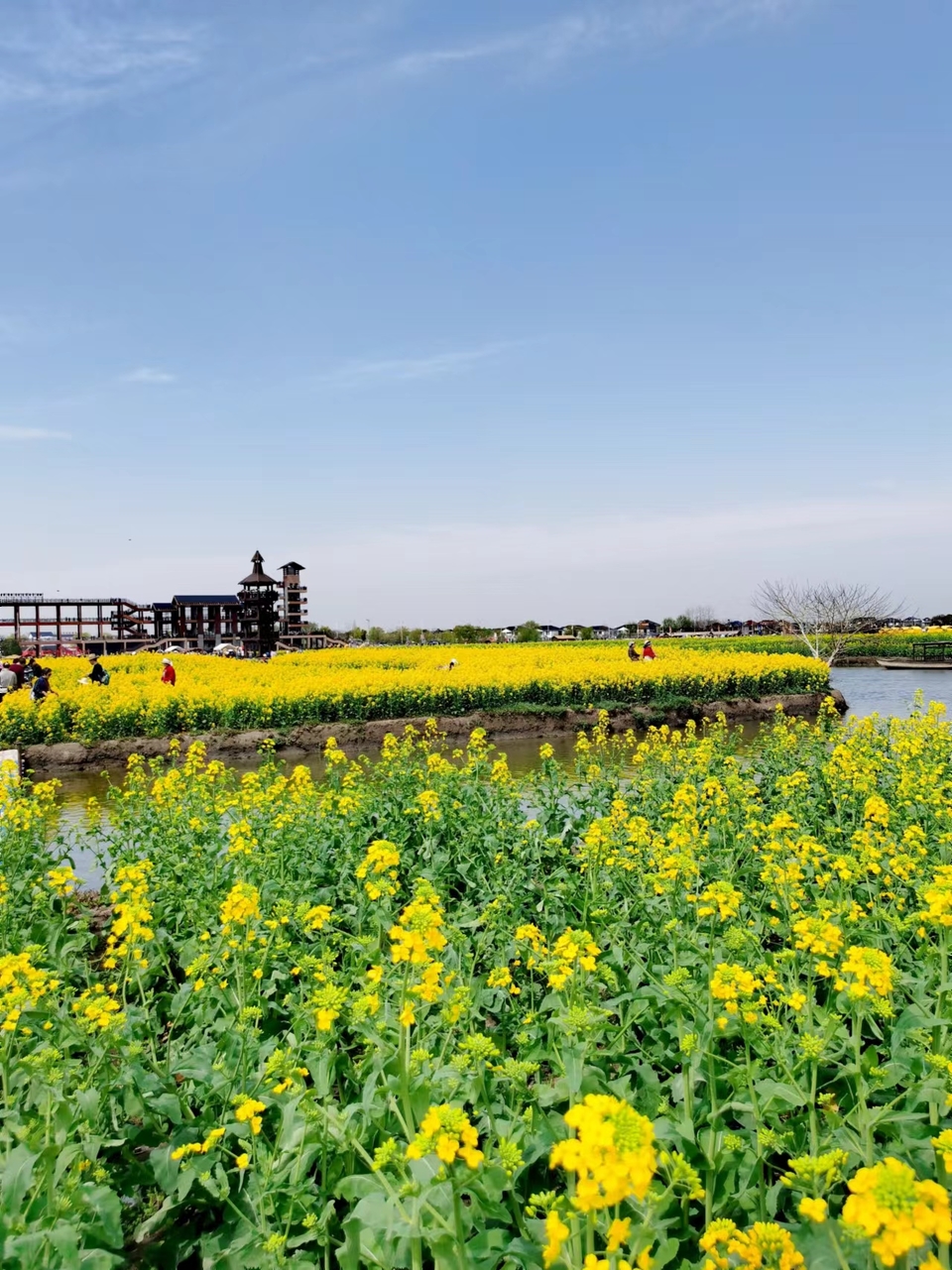 f26ZQ5SbBrDoR8-5j4Onrjfsw68lYieRwwXkkc-cPJ6i0woGJLywCMzxrmv-kxIh