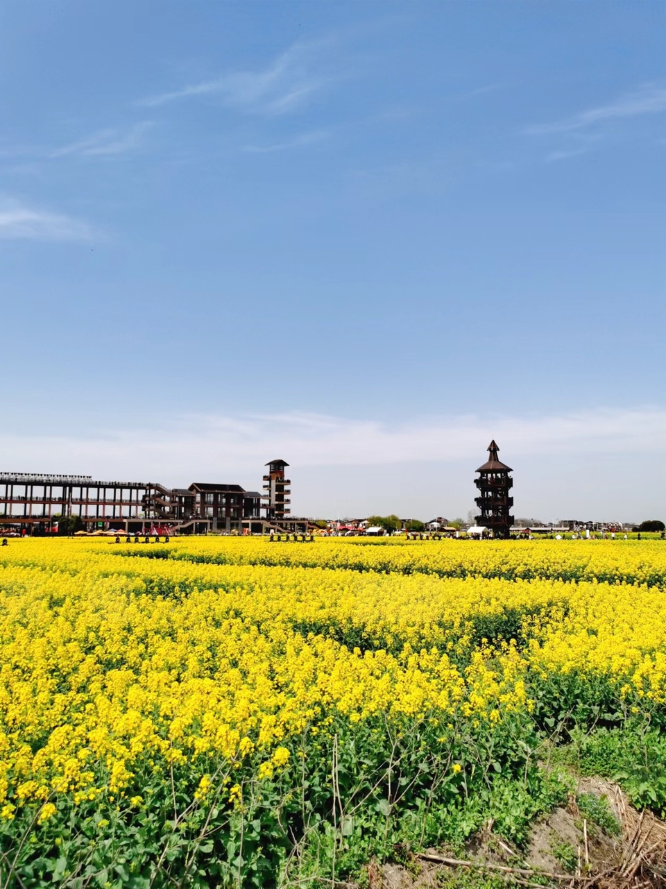 f26ZQ5SbBrDoR8-5j4OnrpAO6dBAjRjGV8443g7sR1b6Y9lWkSV0WW2I71AQHcJY