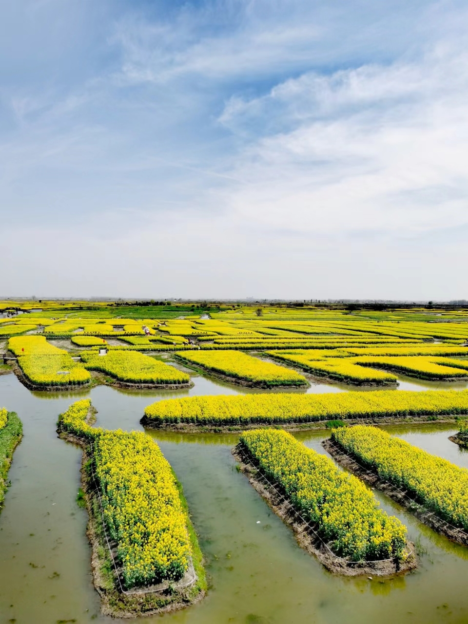 f26ZQ5SbBrDoR8-5j4Onrl_JJPWVxUjduutHlzT27u-caxzfVZv4eSvMFwRuXvAm