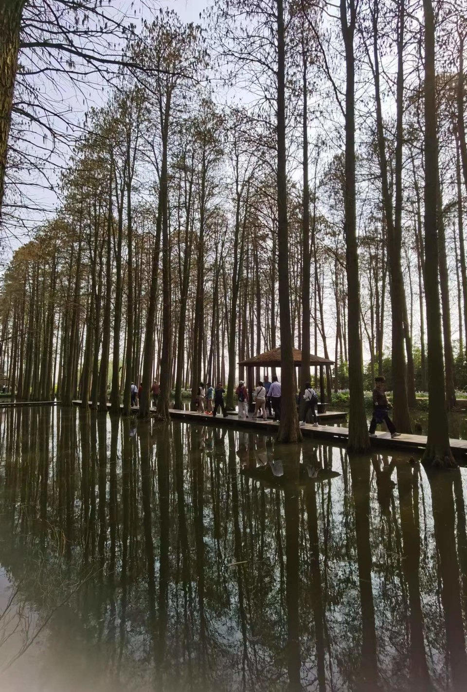 f26ZQ5SbBrDoR8-5j4Onrlcddc2wrNq0xTLkPN48LxuzzNX8YRRJFAdc84ejrlLa