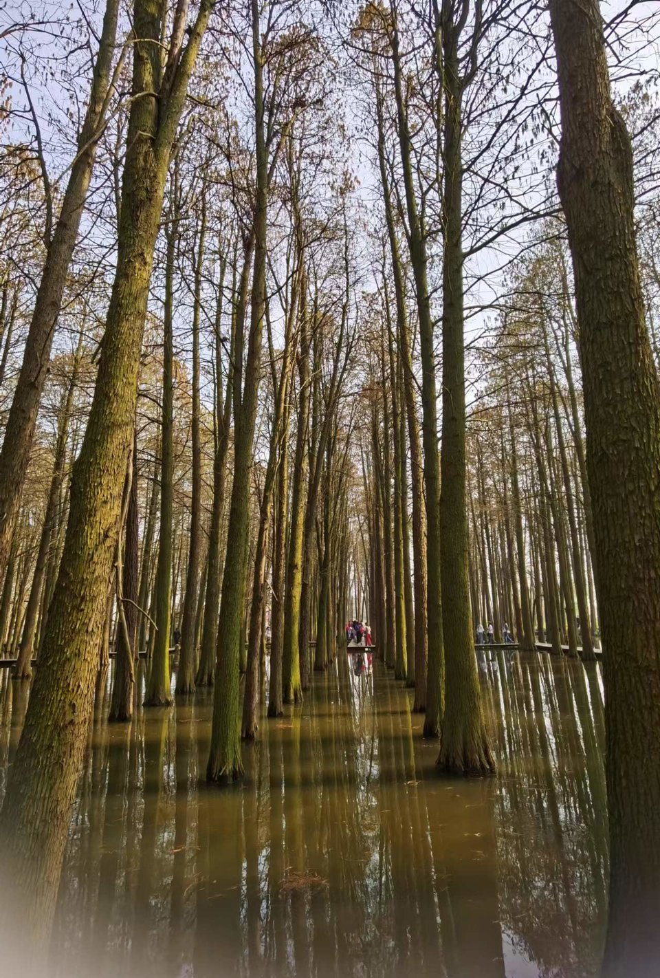 f26ZQ5SbBrDoR8-5j4OnrpT7odlo0WY5usBG-np9afmRuCTf38ltM4O0NYkjuvPC