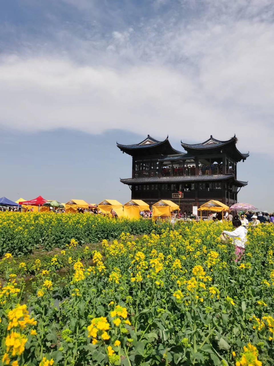 f26ZQ5SbBrDoR8-5j4OnrsPUohS0JcLNAqvRqu1GHcRX67VqQ9pEihp2YLqLN3TF