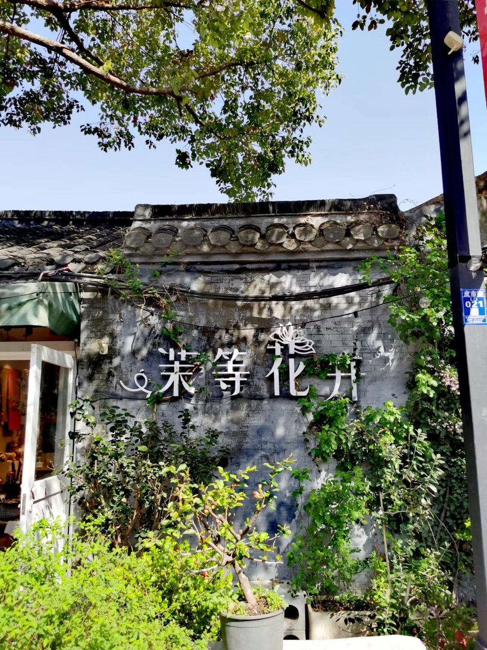 f26ZQ5SbBrDoR8-5j4OnrkPf1Xoz_AqLOj6HLhXdUCCwzfeHkRc9heWjc6Vi29Do