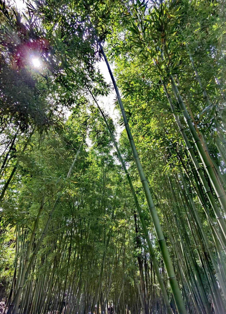 f26ZQ5SbBrDoR8-5j4Onrr1pARpqPuobKrRUZmbTIwodnOg7QggQNb_fKVRkgnen