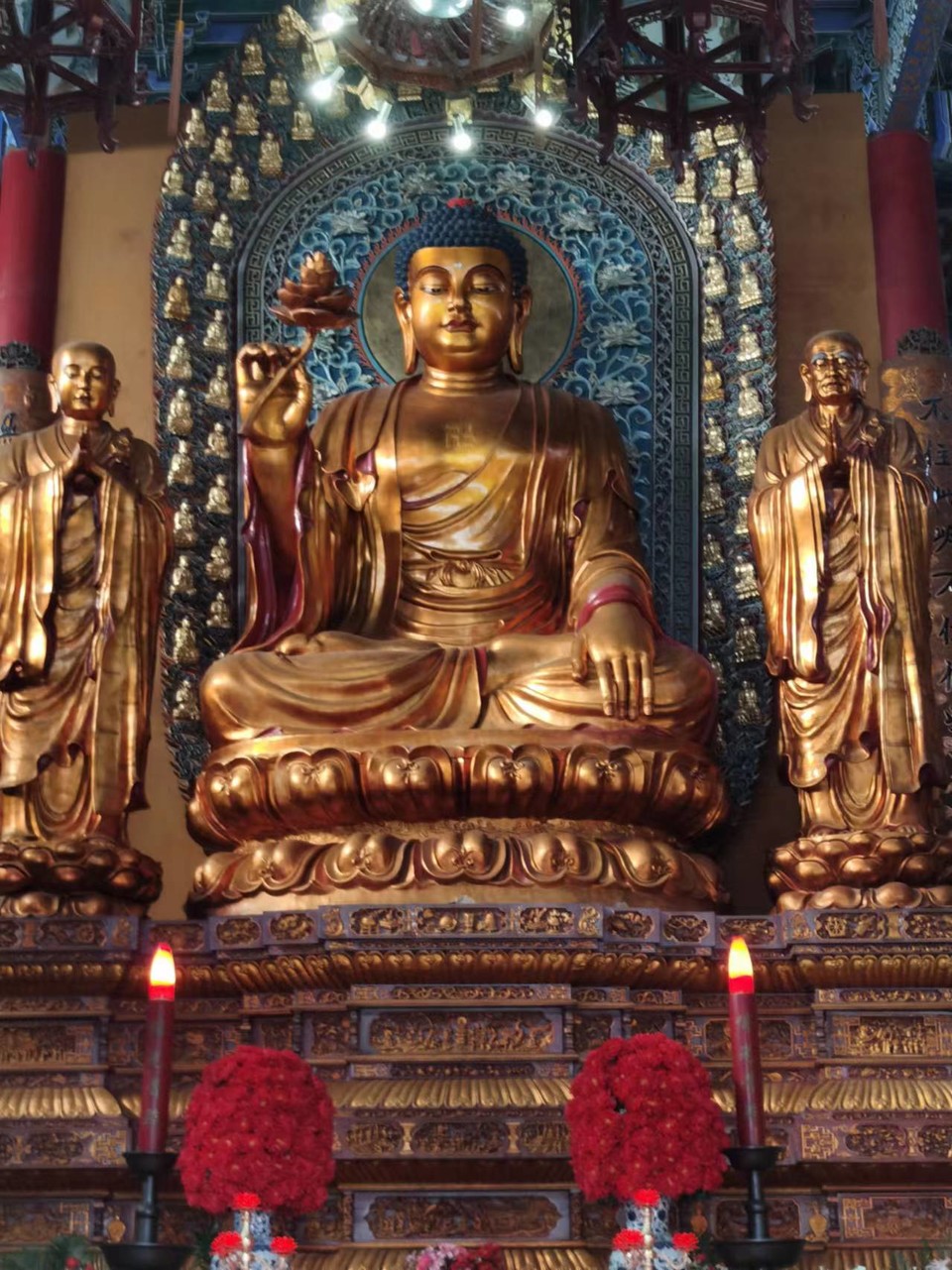 f26ZQ5SbBrDoR8-5j4Onrn7j6Z6V3sCS4Mjj6FLkpzZ3P0Xy3ya0wTjApcOQPmGH