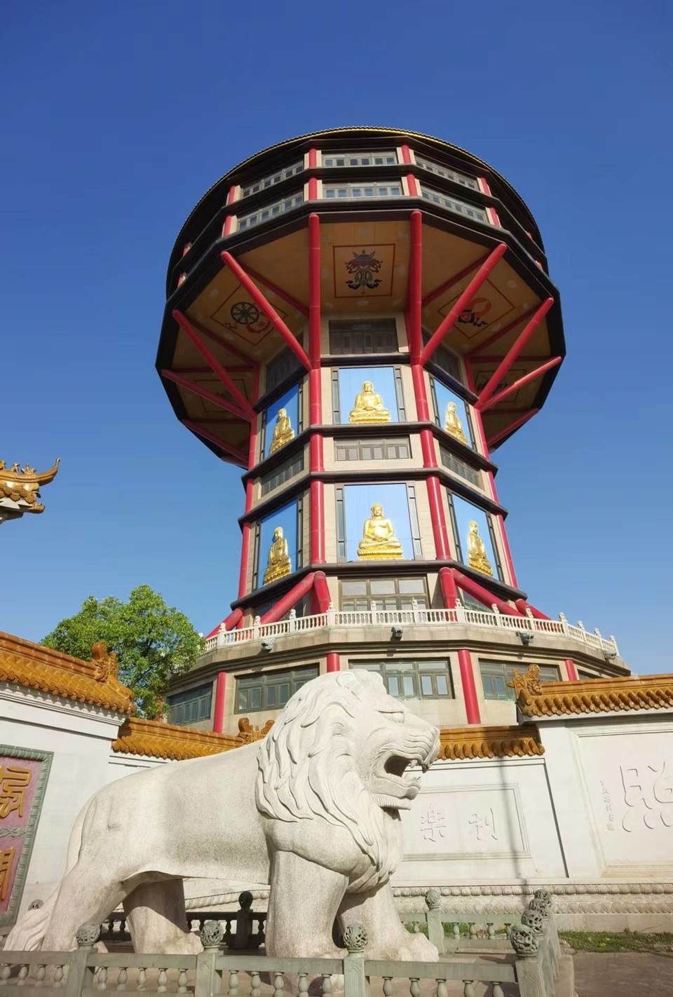 f26ZQ5SbBrDoR8-5j4OnrrQLgRMbpeoFbbVog385_QdXLc47AE87LeZ7cEGX7N0G