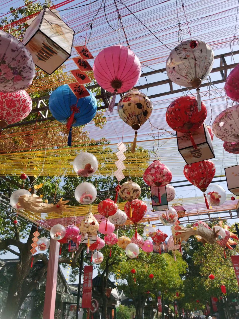 f26ZQ5SbBrDoR8-5j4OnrmpstpAI5VtFxYWgUgB8BO2l-FLjkaK6Ixrxp7uNnJY_