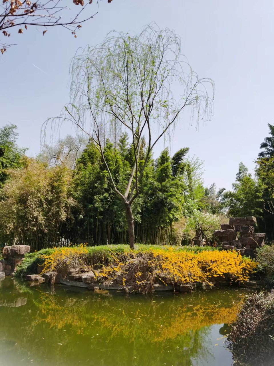 f26ZQ5SbBrDoR8-5j4OnrrvTYPxs4WIgRlBTePpp9YaHhf6UL4grpa3r4j1hubmb