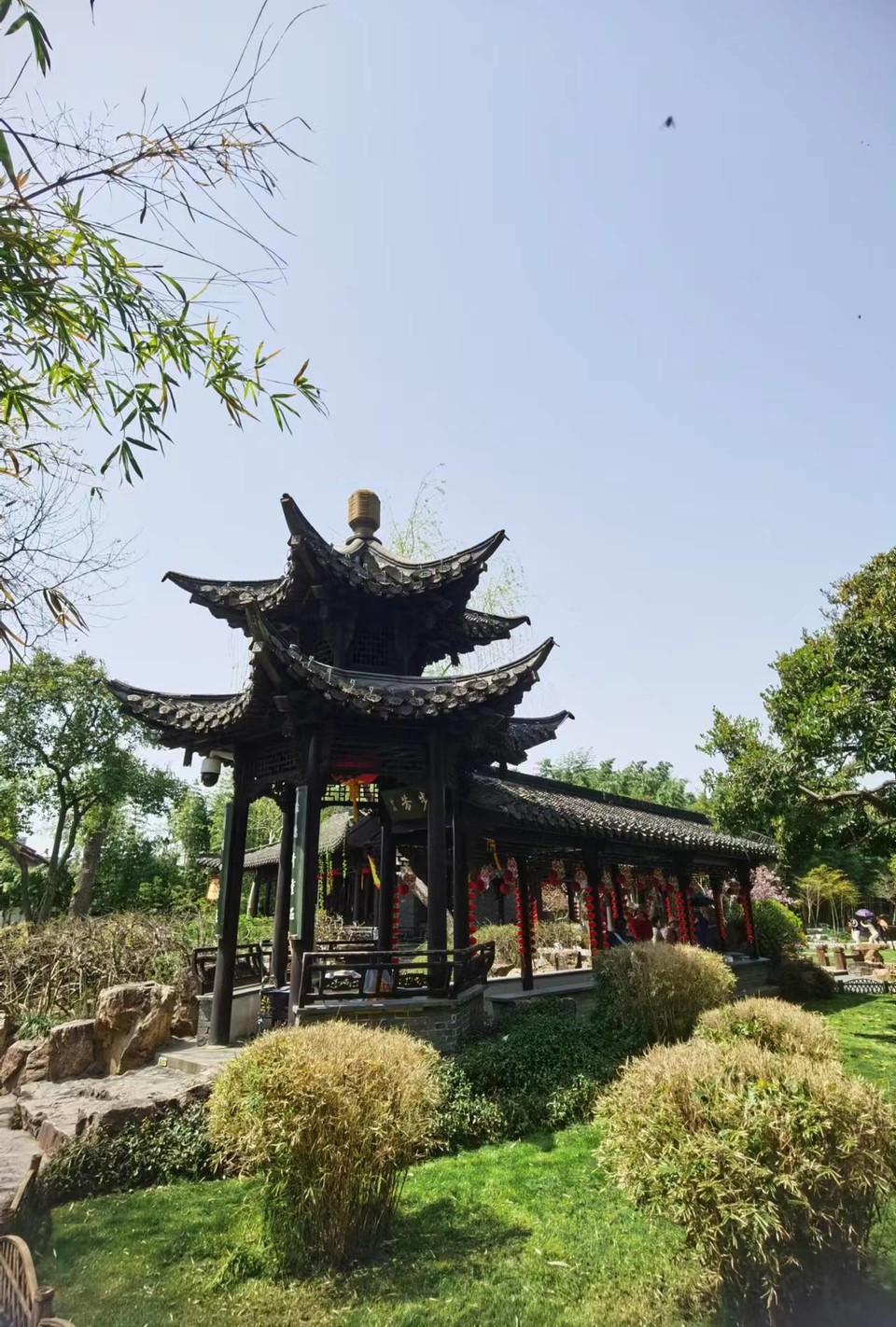 f26ZQ5SbBrDoR8-5j4OnrvqFZfILoXPi-lWeZyNSPT1-X65nx3vhjD4ezFiSrGCG