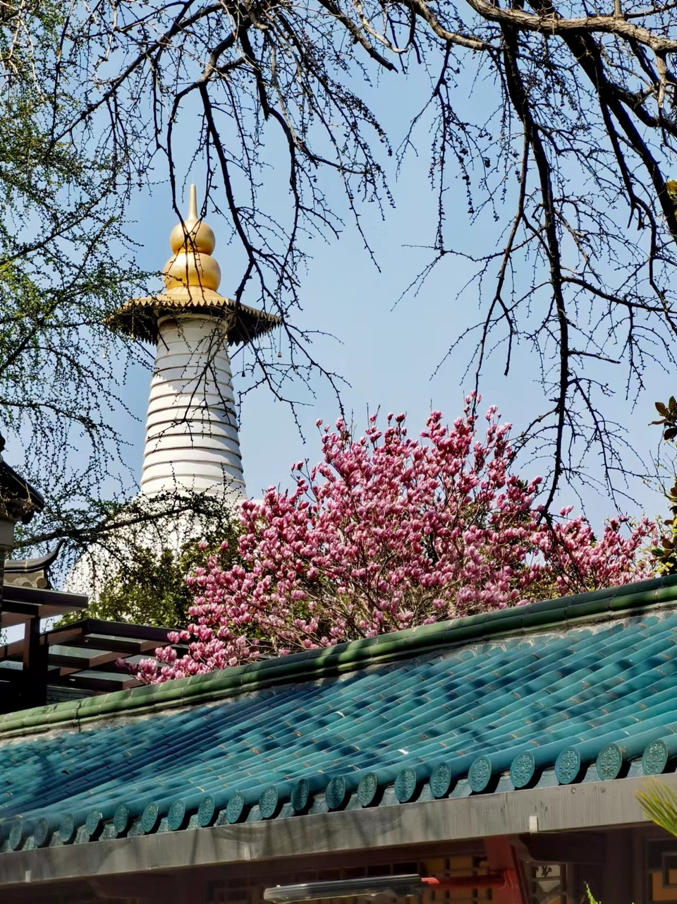 f26ZQ5SbBrDoR8-5j4Onrj-t8VN7qCcSUhQFcPsGHVN8qolIJMBBtJEmriwxqgMl