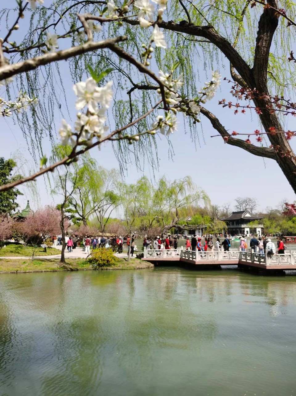 f26ZQ5SbBrDoR8-5j4OnrmSukukjsxBCtoI8bBU9cMjQ6ejRcCcw0sfM6JtoOuLX