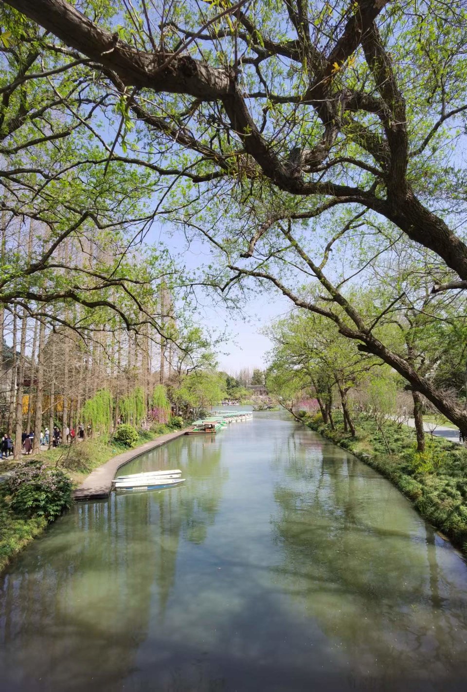 f26ZQ5SbBrDoR8-5j4OnrkBNJCKTDSYT8rfObUniHQflfSeAFGt3XNwlrTNZcm-d