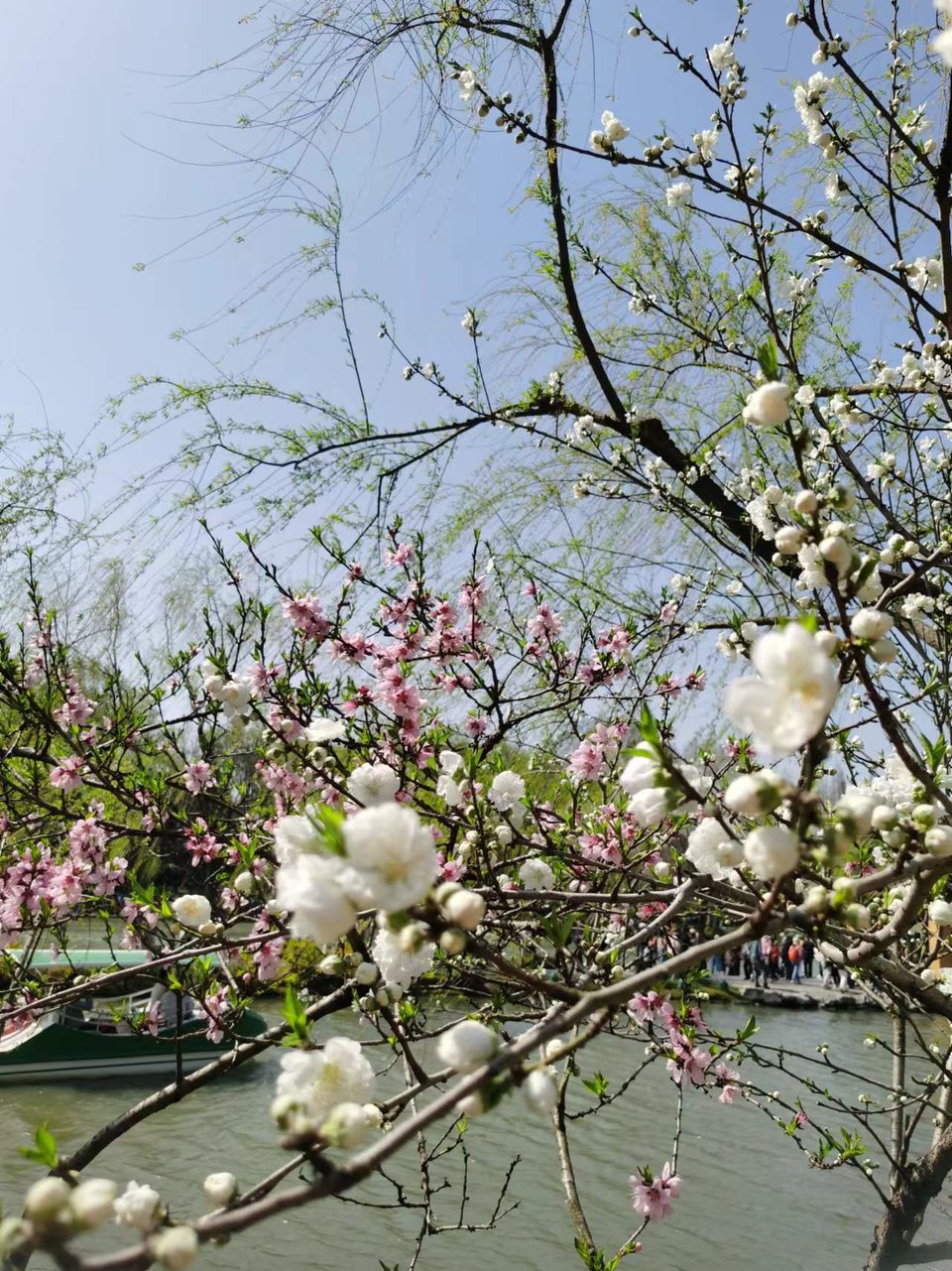 f26ZQ5SbBrDoR8-5j4OnrlrgHTSkudk0PhORQ1tXROvmcVo2pNJsav9lszN4gtAF