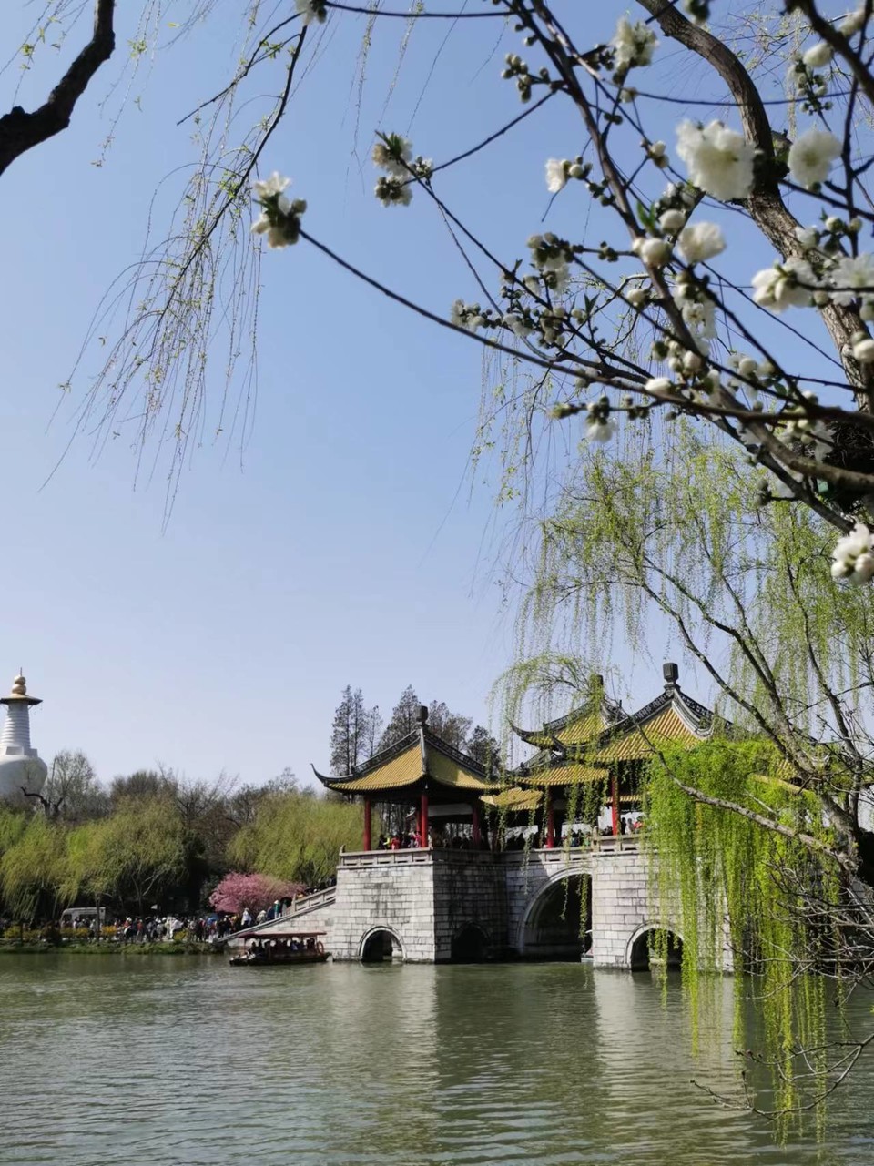 f26ZQ5SbBrDoR8-5j4OnrsFGSceMizwUjuDCG3ZAIKbkC8iMhNj-BDvSQVoYNFzl