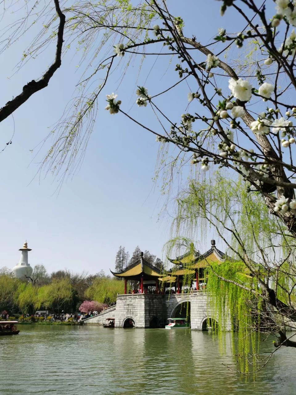 f26ZQ5SbBrDoR8-5j4OnrgfrqKLB7YQCc69VvKPkez8yUOxdFxE5Oq4fVTuaUUX4