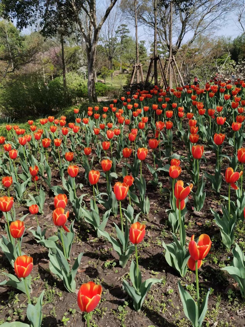 f26ZQ5SbBrDoR8-5j4Onrr3YHJOL65aj1AY4KN1wLGiUEj0IsF3OXgl90VLKE0ly