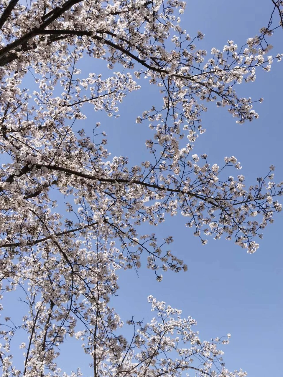 f26ZQ5SbBrDoR8-5j4OnrrAIm2hwD4nAcGqYqcd6z5sFnt6OZ2DibrqZhwQDUb4F