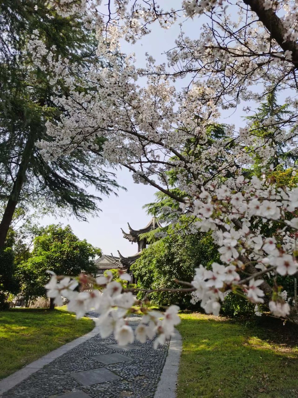 f26ZQ5SbBrDoR8-5j4OnrqRf8FNvnoJlN1suo_O8heqPbINrmY-zNpT_hG5z0iuS