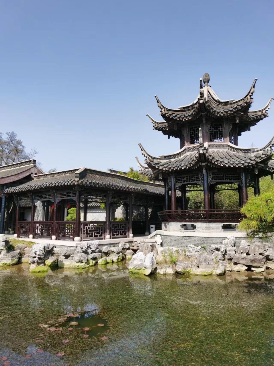 f26ZQ5SbBrDoR8-5j4OnrieA9XcsIiNlyrk7OCIf4xDZnCb0gxwfbeMe199mPFry