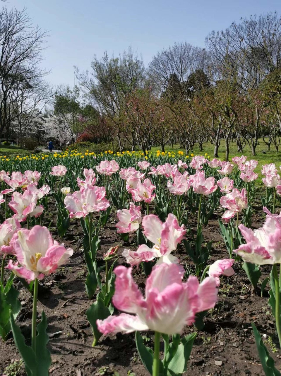 f26ZQ5SbBrDoR8-5j4OnrqL7xDaePNfOXe2zXockCk6gExb96ULq8N_ksvFZvBAA