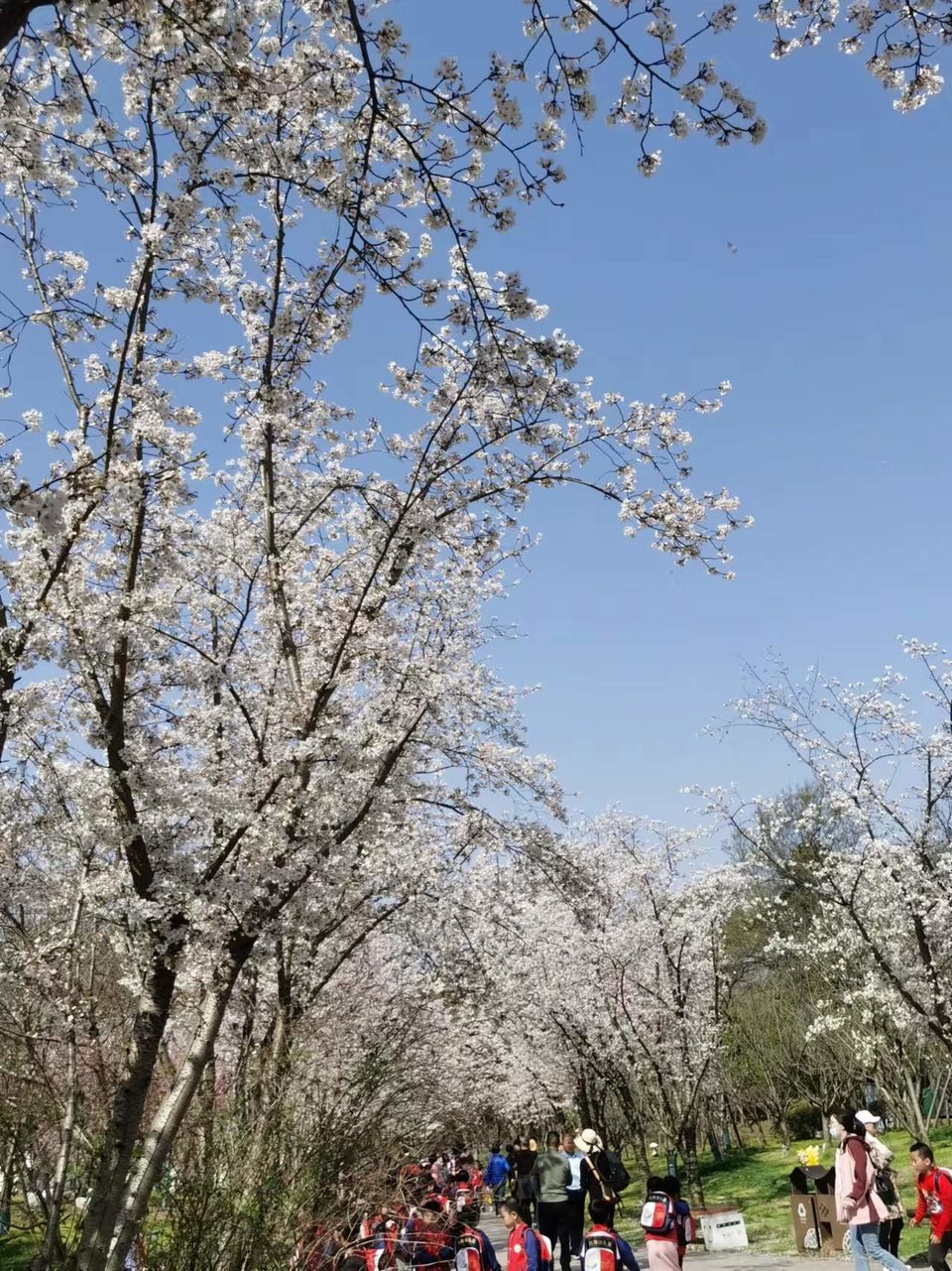 f26ZQ5SbBrDoR8-5j4OnrrLaeIYnaUorYI8zZ6a9Tgszew1EK9o4pXdVBkyC2JmO