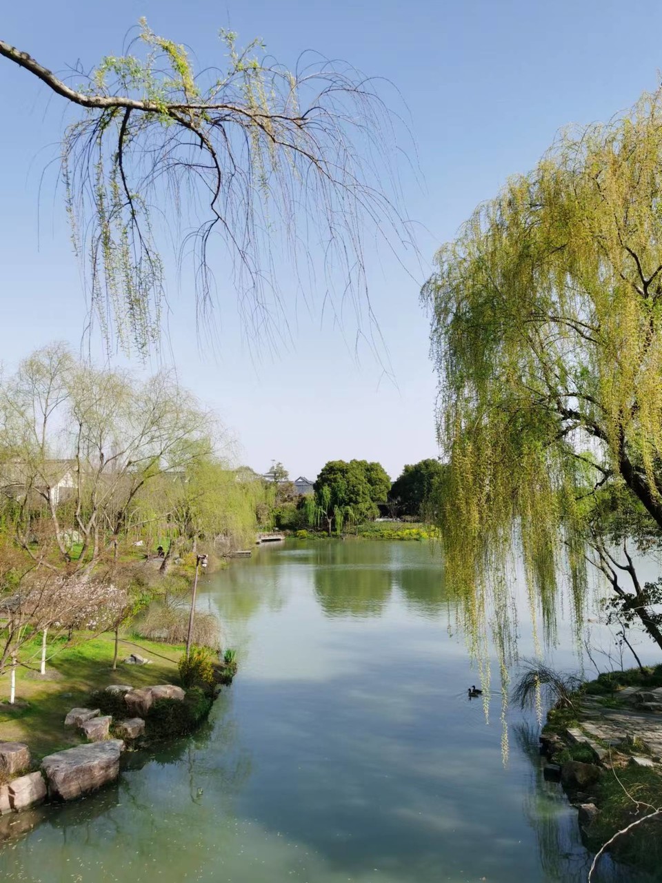 f26ZQ5SbBrDoR8-5j4Onrg8v-IFfTlhNpIMGiA9BE-C2mQaDN84Yjioee99eJaKQ