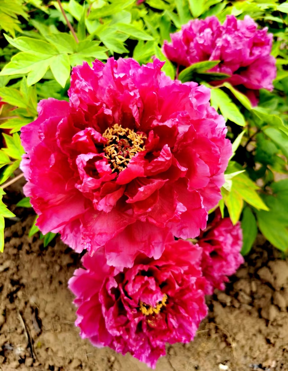 WZcIOkZt-NX2VFn5GhjAXOVxYOUSt3md3re58k24CZJSIi14-8Q0usvCm_OXezFF