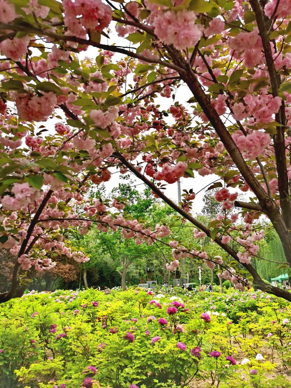 WZcIOkZt-NX2VFn5GhjAXKFTVdKG_fYEEvBoW87aamHh0CJ8ItB0IlcSGllbkCrP