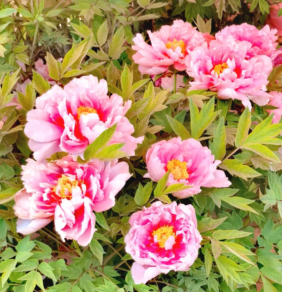 EUz4uStMYKQgcUNVc2sKTwnol0MzJBcAT65-iHNZ2sZzfajltQift_-rRa7OvQk0