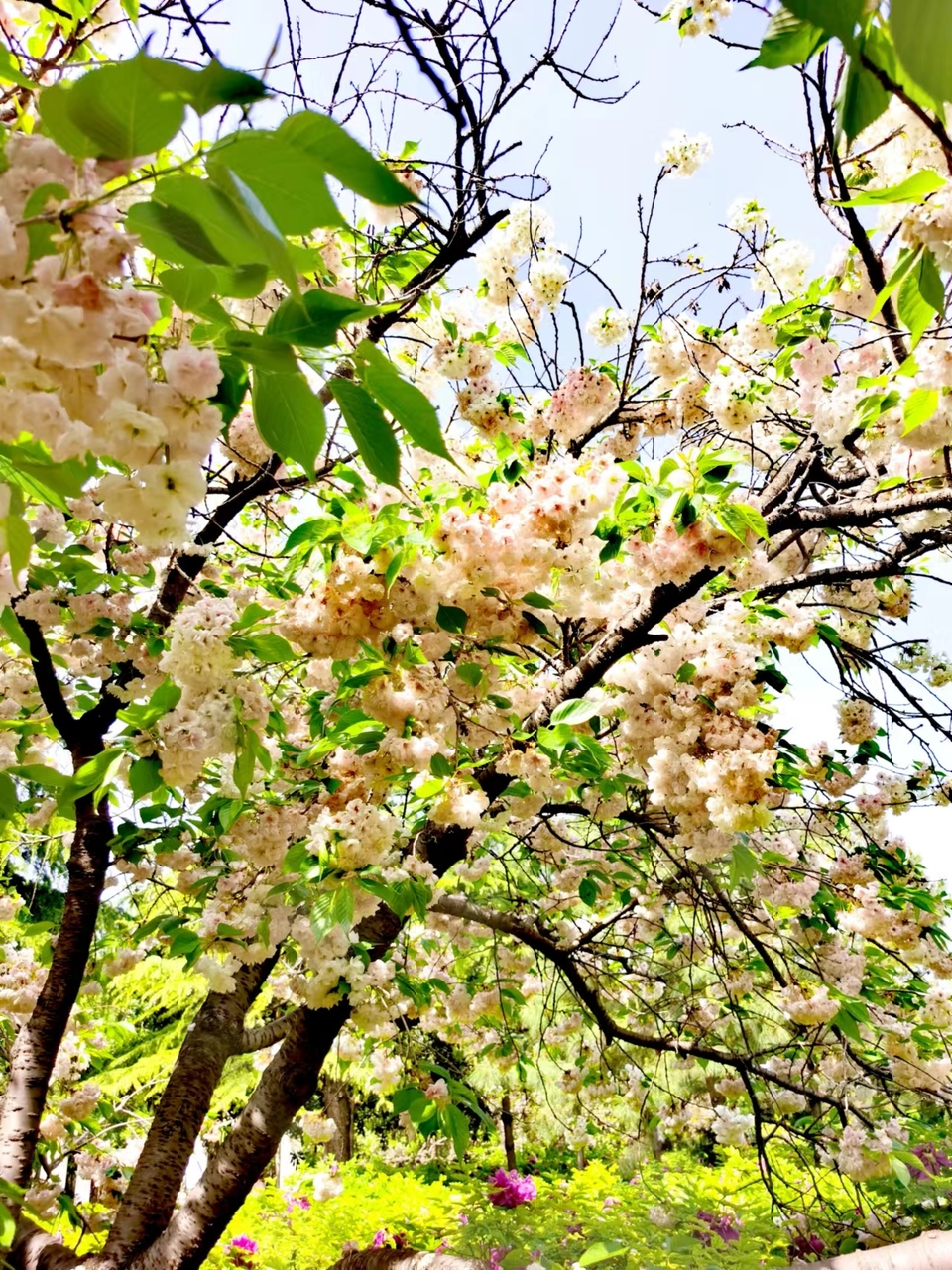 EUz4uStMYKQgcUNVc2sKT6gIgSAhzG5jNc_jPp7lKPDWozcMCLntnnByw2RoMl5_