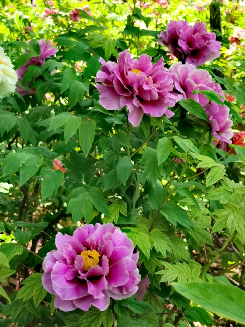 EUz4uStMYKQgcUNVc2sKT81vC2OsOGPy_QMH6oURUbtDA9OqkJngIHtYliB3o0DX