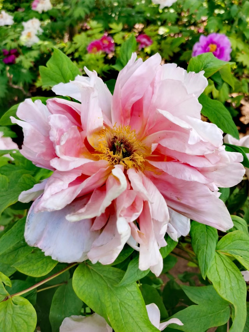 EUz4uStMYKQgcUNVc2sKT0WmhOXm-1a7jU9Gsrk7PvANPwlBA98AYagibHeLo-RW