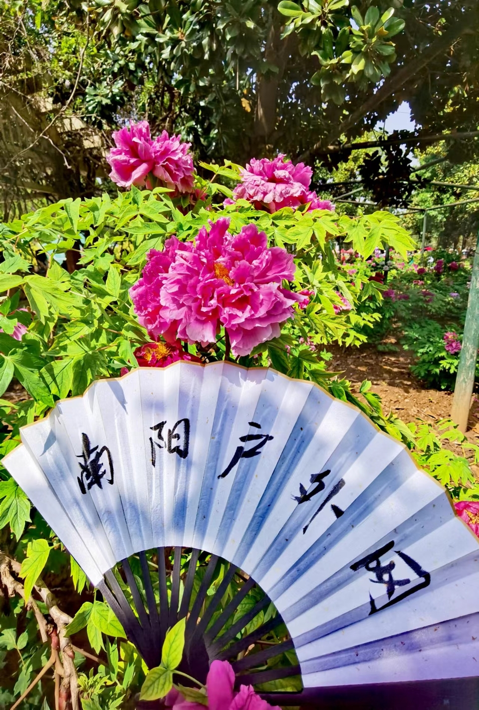 EUz4uStMYKQgcUNVc2sKT7swgQ8g60J850VS4FrLV7s45mmPsU3YyxAWcY1BVRGE