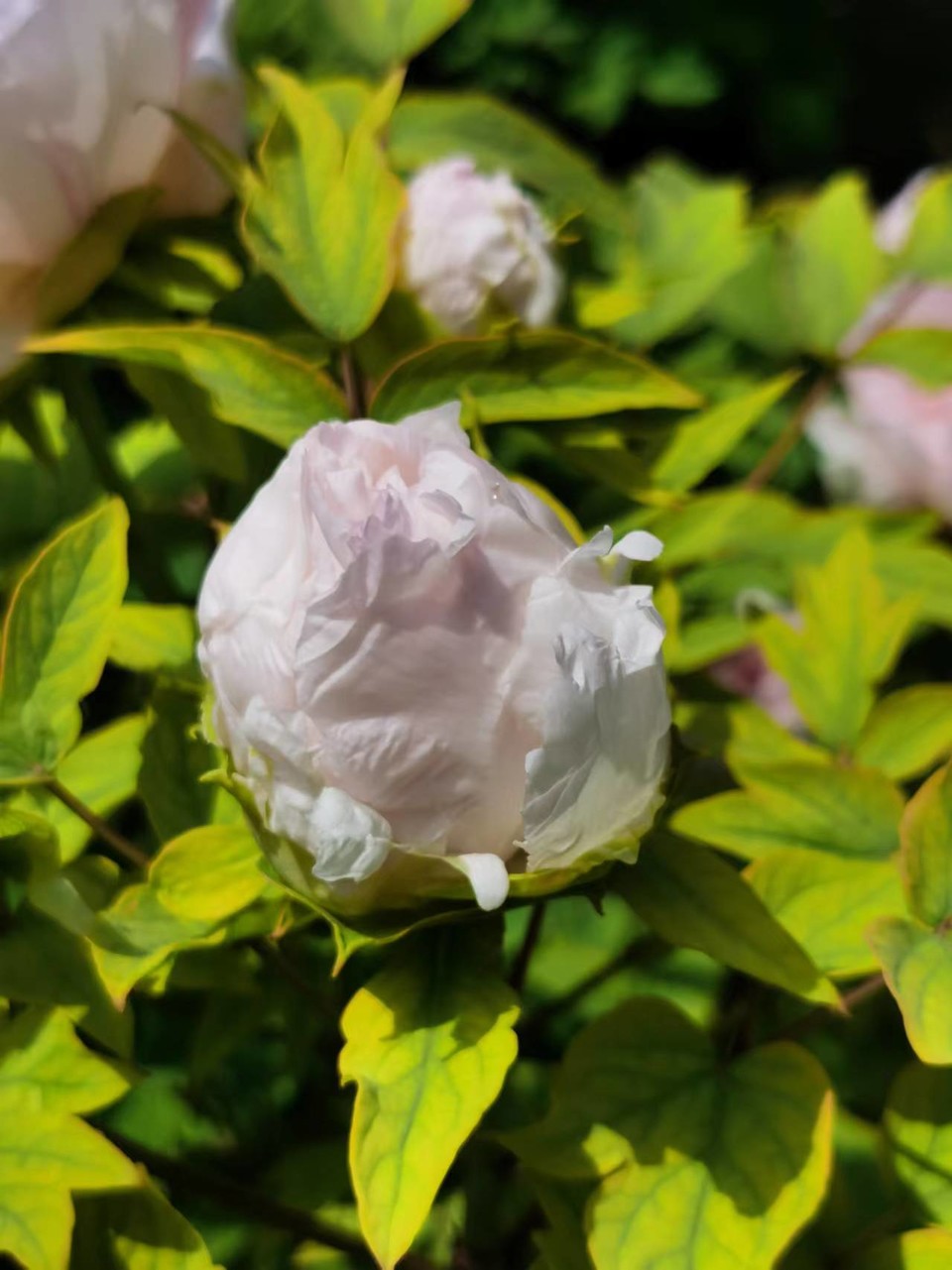 EUz4uStMYKQgcUNVc2sKTwZyc8N29b4QJ0sqIDXB-AKxhPklIOiVILEu-88h-qSO