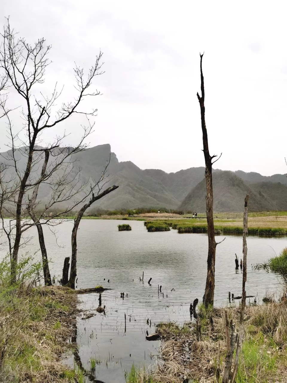 qaf2uMFczrE6hZacOiM7mkUg4VcmSeTbgbNEF11gE8y52Rn0wQJnYEJfrhCohhnO