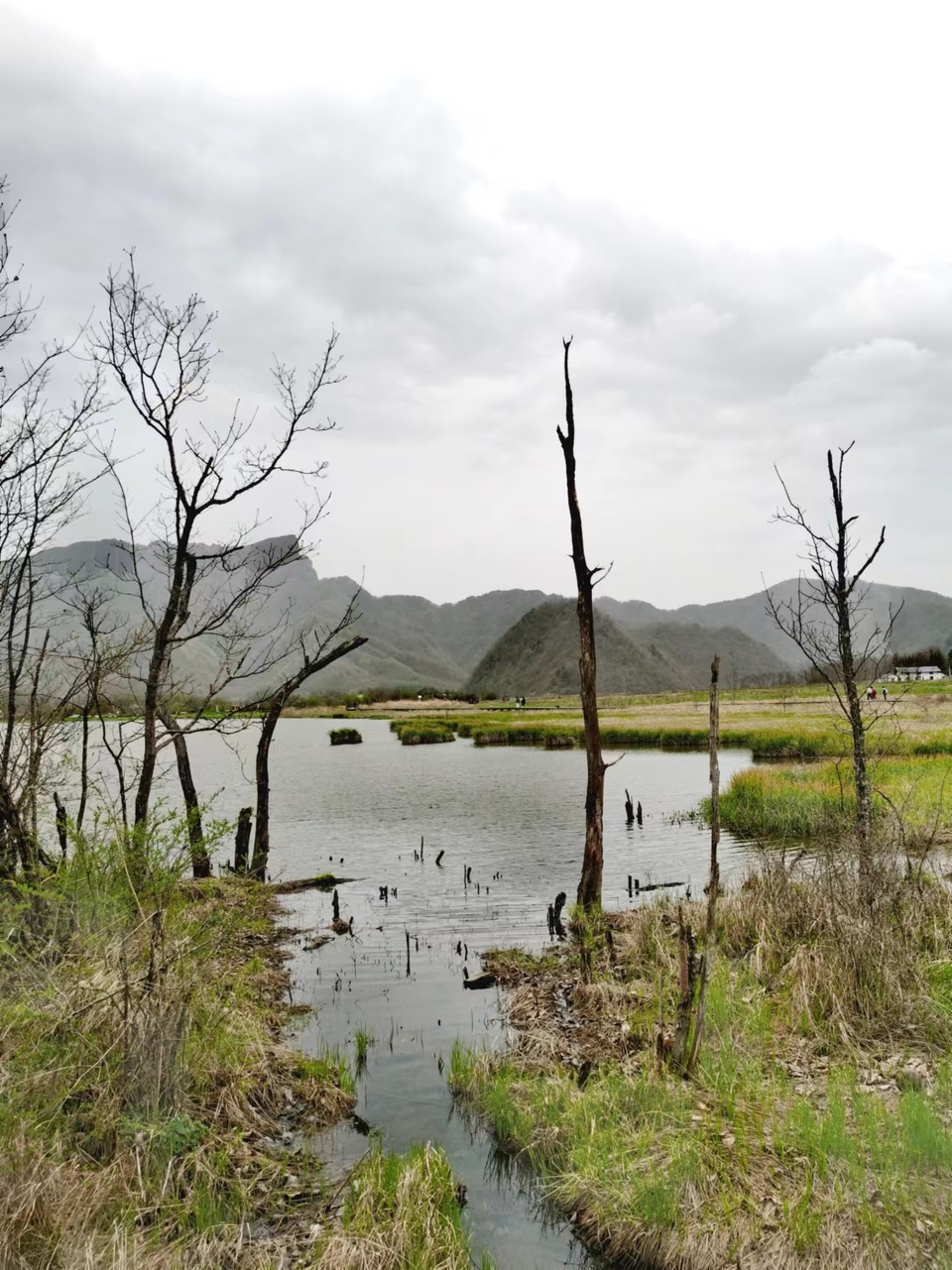 qaf2uMFczrE6hZacOiM7mnrShUD4amrZucMxe9cctO_p97QgBdcUvjAvYIucxDl2