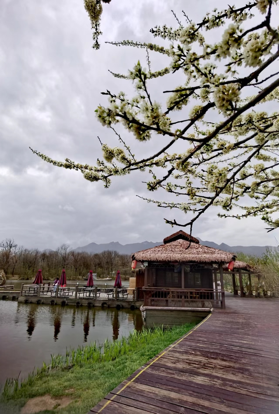 qaf2uMFczrE6hZacOiM7mlyvbMhybQULhmjGyn1qQJ0VV3xcVMS2rvruUllPJEXU