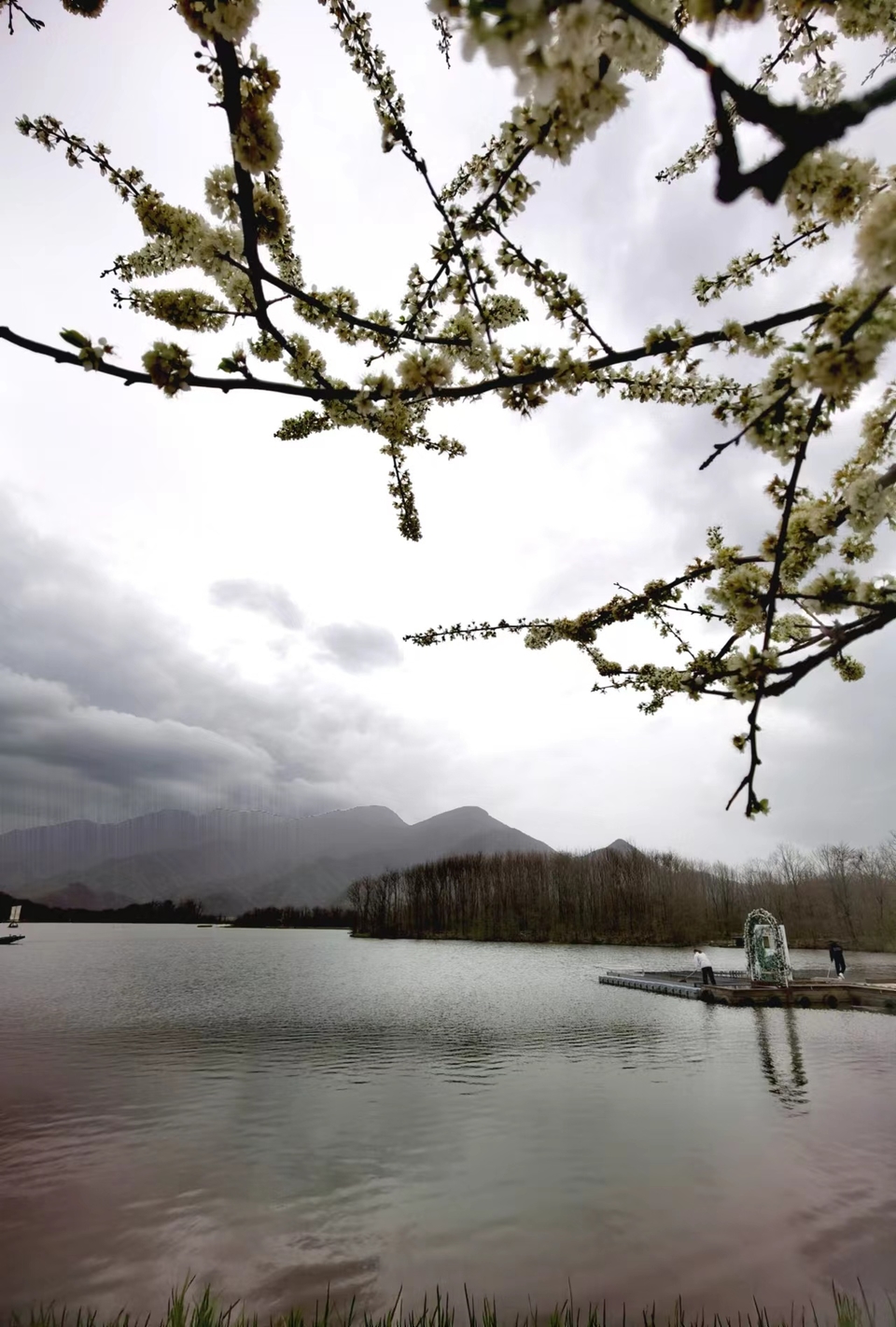 qaf2uMFczrE6hZacOiM7mpq3X1r_DG5w21gwGr1LNVFb4AQla60EjJHzOQr9wk4R