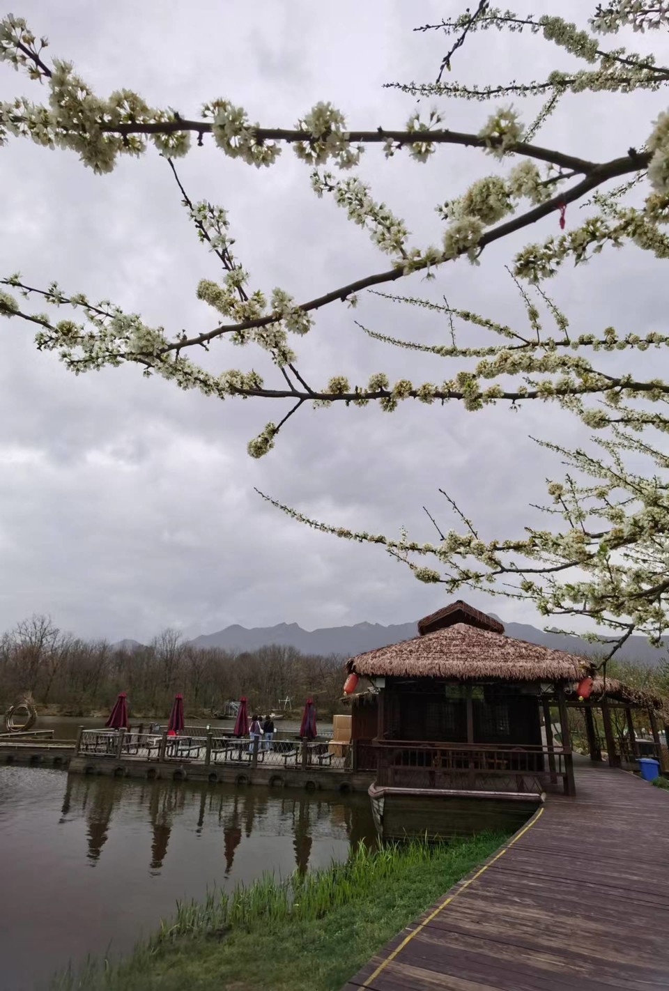 qaf2uMFczrE6hZacOiM7mhN0CEpRd9BgQJwLLBfpvAymjOI5kXbNWrCXdpA5MwQT